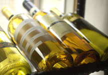 ランチイメージ