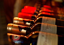 ランチイメージ