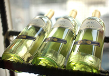 ランチイメージ