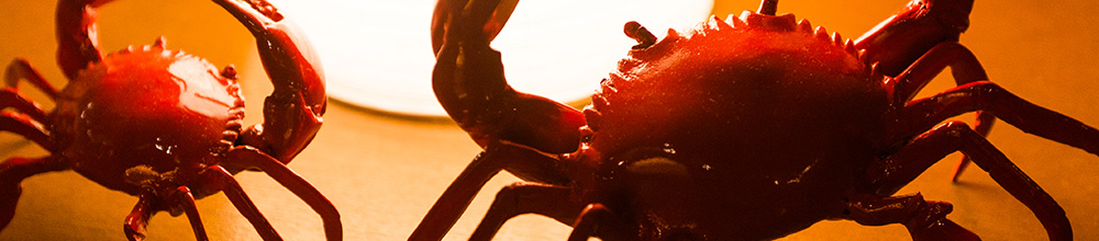 ランチにお勧め！イルキャンティ河原町三条店のマップページ